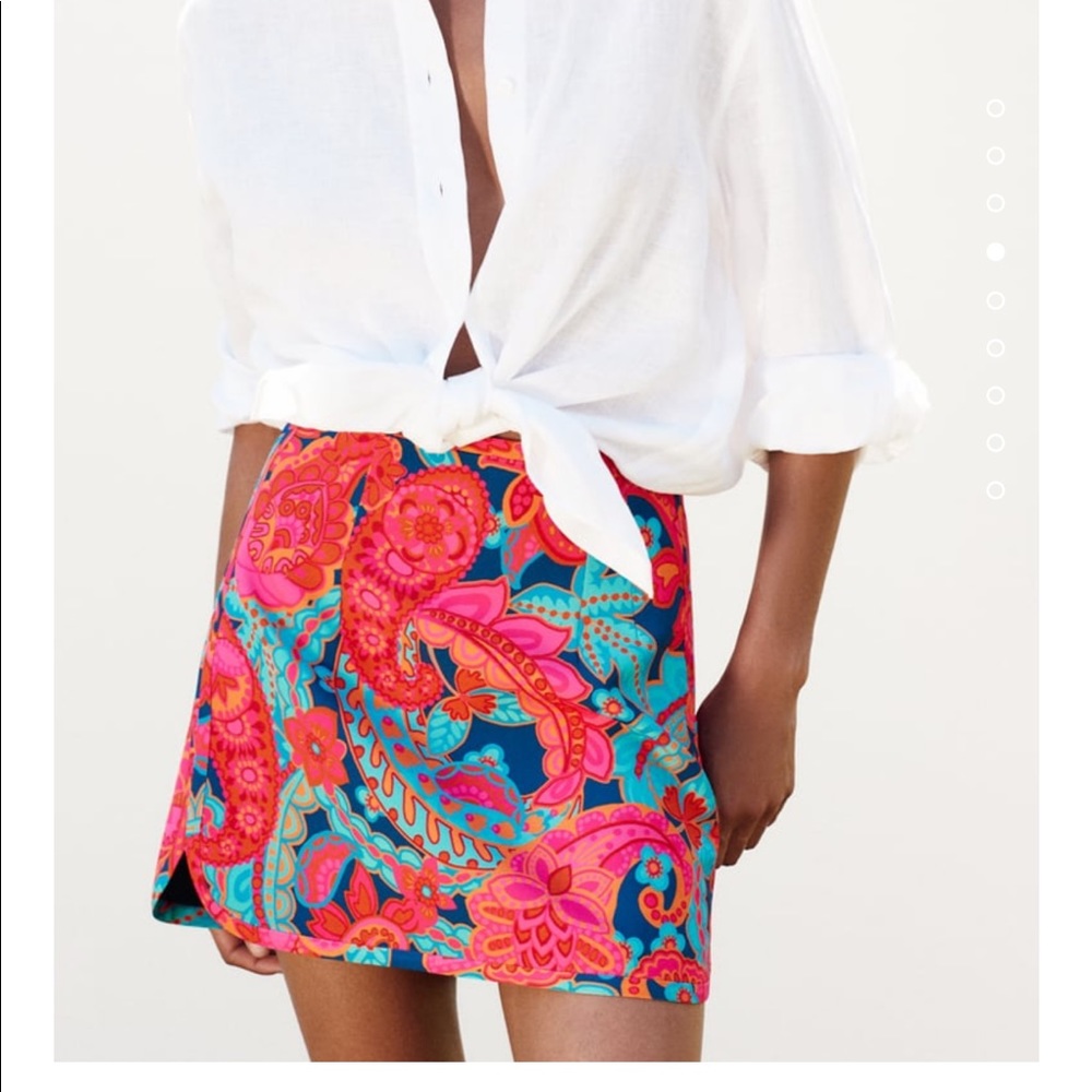 Zara || Short Printed Skirt - Picture 9 of 11